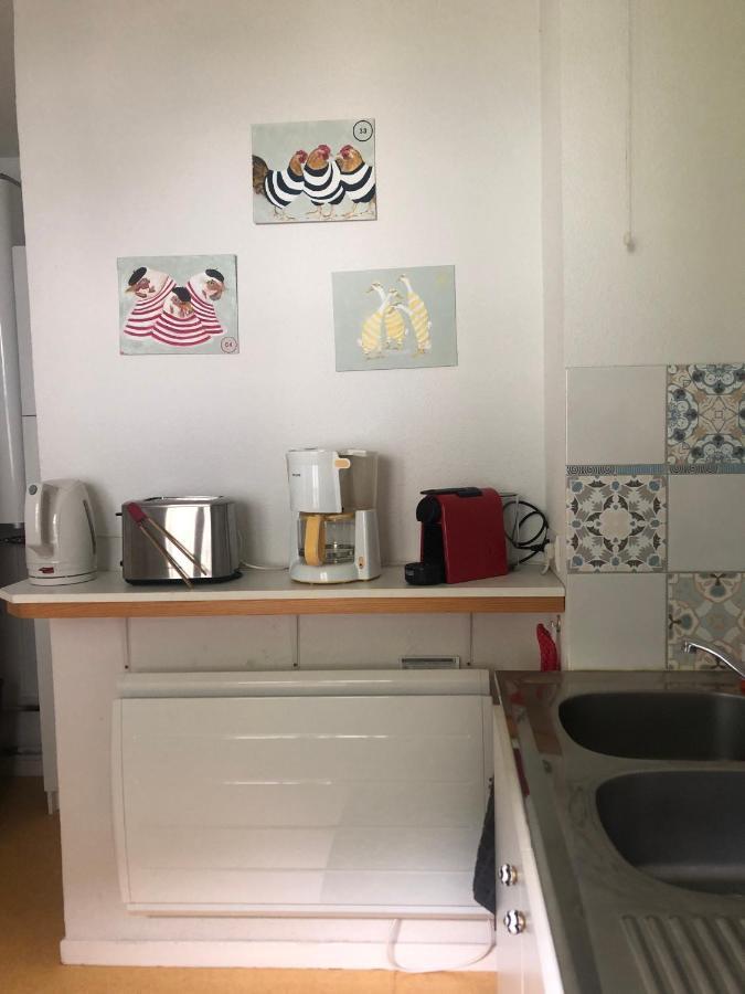 Grand Appartement En Rdc Vallee De Campan Eksteriør billede